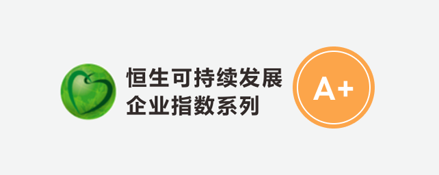 Hang Seng Index