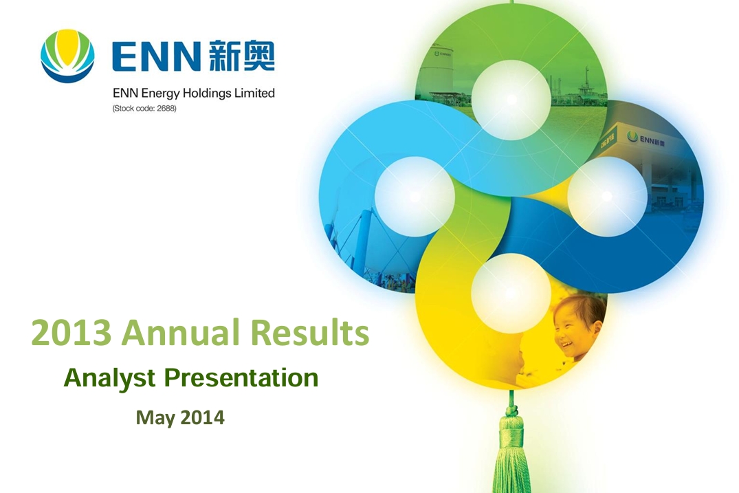 2013 Annual Results